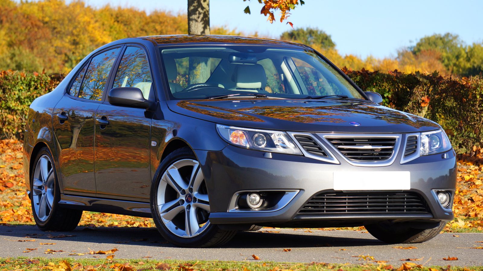 Everyday vehicle serviced with quality replacement parts